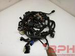 Kabelboom Suzuki GSX-R 600 750 K8 K9 L0 2008 t/m 2010 draadb, Ophalen of Verzenden, Gebruikt