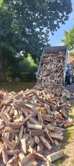 Droog brandhout abeel | zwarte els | den | kastanje, Tuin en Terras, Brandhout, Ophalen of Verzenden, Overige houtsoorten, Blokken