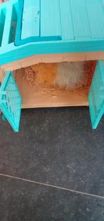 interactieve speelset "Mama Surprise Cavia" van Little Live, Ophalen, Zo goed als nieuw