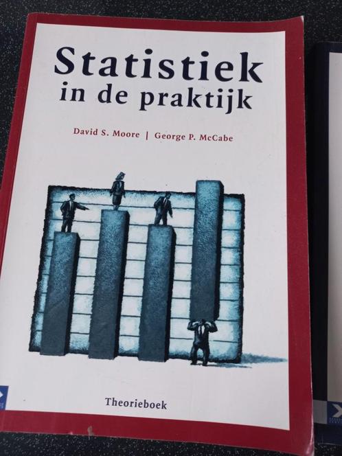D.S. Moore - Theorieboek, Boeken, Schoolboeken, Zo goed als nieuw, Nederlands, Ophalen of Verzenden