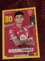 Panini/Sticker/Samuele Vignato/Monza/2023-2024, Verzamelen, Sportartikelen en Voetbal, Verzenden, Nieuw, Poster, Plaatje of Sticker