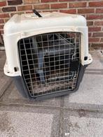 Hondenbench, Dieren en Toebehoren, Ophalen, Zo goed als nieuw