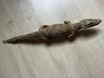 Babykrokodil (taxidermie), Ophalen