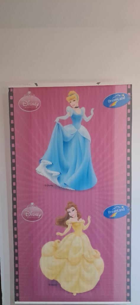 Disney Princess promo banner poster Assepoester Belle, Verzamelen, Disney, Zo goed als nieuw, Ophalen of Verzenden