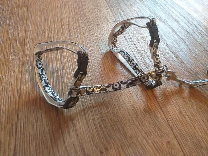 Nieuw stevig zilver kattentuigje met kliksluitingen, Dieren en Toebehoren, Kattenhalsbanden en Penningen, Zo goed als nieuw, Ophalen of Verzenden