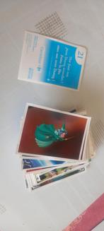 Pakket Panini stickers Disneyland, Verzamelen, Ophalen of Verzenden