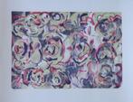 FRIEDA VAN DUN / ROZENTUIN / KLEURLITHO / 66x84cm / SIG 2011, Ophalen of Verzenden