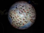 Wereldbol Dinoz | Stella Nova Globe, Ophalen, Verlicht, Gebruikt