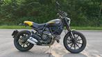 Ducati Scrambler à plein régime, Motos, Motos | Ducati, Plus de 35 kW, 2 cylindres, Particulier, 803 cm³