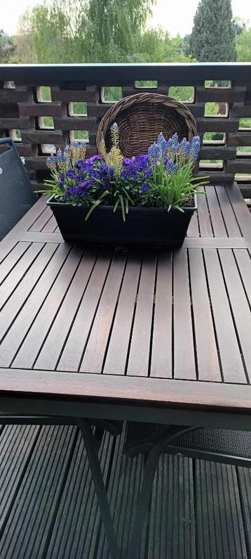 Tuintafel met stoelen beschikbaar voor biedingen