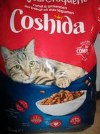 kattenbrokken, Ophalen of Verzenden, Kat