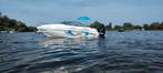 Fibrafort style 215 cabin + Verado 250 + ponton, Watersport en Boten, Ophalen, Gebruikt, 6 meter of meer, 200 pk of meer