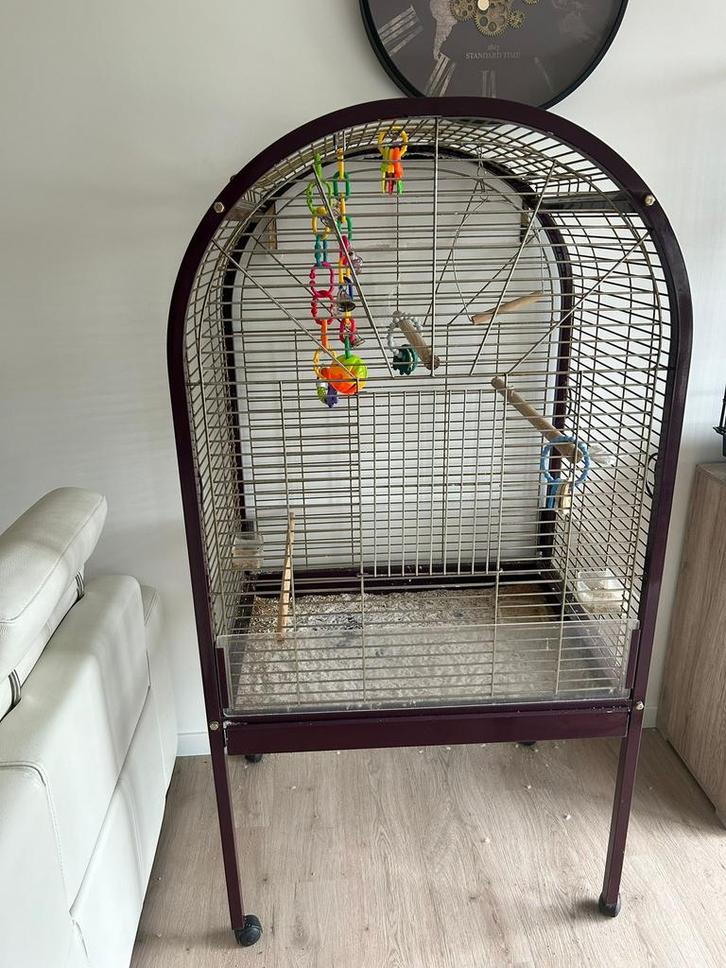 Groot vogelkooi, Animaux & Accessoires, Oiseaux | Cages & Volières, Utilisé, Cage à oiseaux, Enlèvement