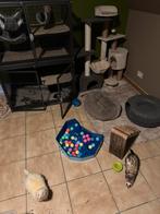 Fretten en kooi te koop!, Dieren en Toebehoren, Juni, Meerdere dieren