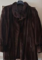 Short pour femme en vison marron SAGA MINK, Enlèvement, Brun