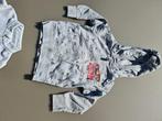 grijze pull, trui, hoody, met rits, Cars, CA, 104, Kinderen en Baby's, Kinderkleding | Maat 104, Ophalen of Verzenden, Zo goed als nieuw