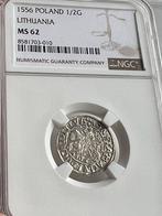 Pologne Half Groat 1556 NGC, Enlèvement ou Envoi, Pologne
