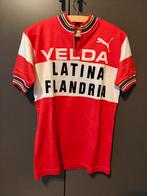 Flandria Brooklyn West-Vlaams vleesbedrijf truitjes, Fietsen en Brommers, Ophalen of Verzenden