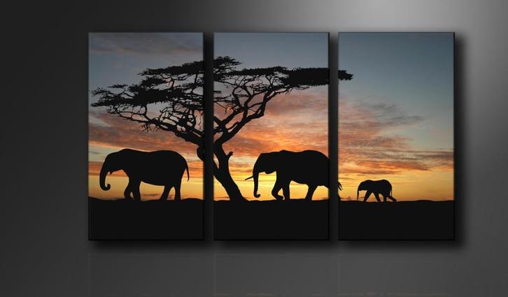 Nieuw 3 Luik Canvas Schilderij Afrika Olifant 90x160cm, Huis en Inrichting, Woonaccessoires | Schilderijen, Tekeningen en Foto's