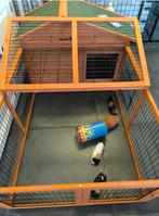 Cavia hok met ren Splinternieuw in doos, Enlèvement, Niche, Cobaye