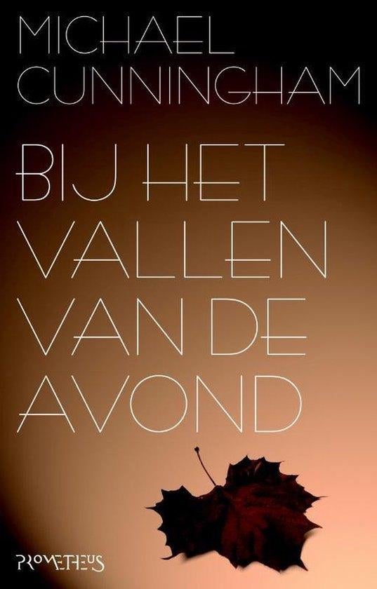 Te Koop Boek BIJ HET VALLEN VAN DE AVOND Michael Cunningham, Boeken, Romans, Gelezen, Amerika, Ophalen of Verzenden