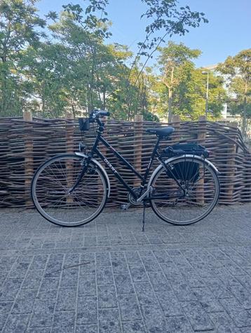Giant  beschikbaar voor biedingen