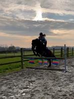 Super lieve kinderpony!, Dieren en Toebehoren, Pony's