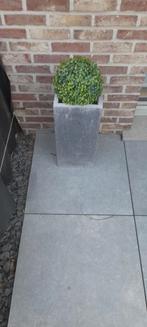 Plantenbakken beton, Ophalen of Verzenden, Zo goed als nieuw, Beton