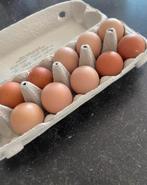 Broedeieren Isa Brown, Dieren en Toebehoren