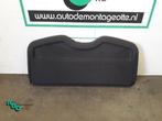 Hoedenplank van een Renault Clio (Clio 3 06-), Auto-onderdelen, Gebruikt, -, Renault, -