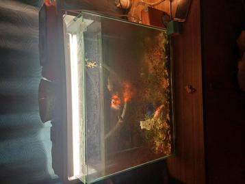 Aquarium  beschikbaar voor biedingen