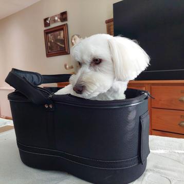 Trixie - hondenfietsmand beschikbaar voor biedingen