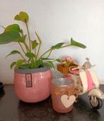 Decoratief setje met plant, scooter en theelichthoudertje, Ophalen of Verzenden, Zo goed als nieuw