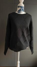 Trui large, Kleding | Dames, Ophalen of Verzenden, Zo goed als nieuw