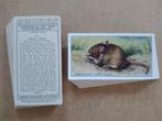 Animals of the Countryside complete set 50 chromos dieren, Verzamelen, Foto's en Prenten, Ophalen of Verzenden, Voor 1940, Dier