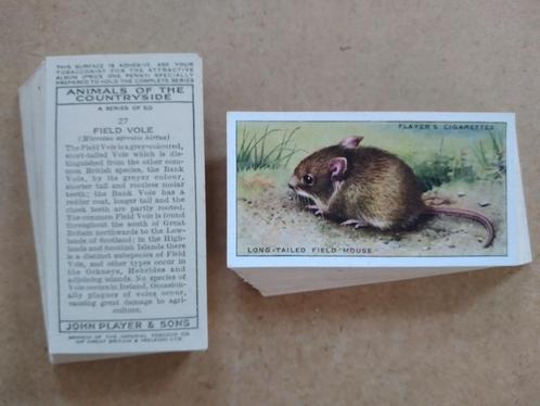 Animals of the Countryside complete set 50 chromos dieren, Verzamelen, Foto's en Prenten, Dier, Voor 1940, Ophalen of Verzenden