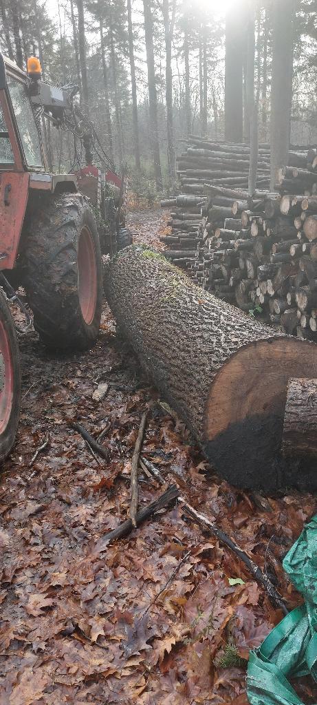 grume de frêne, planches, poutrelles, Tuin en Terras, Brandhout, Stammen, Essenhout, Ophalen