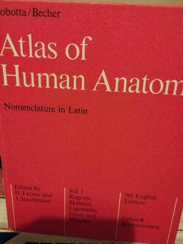 Atlas sobotta anatomy, Boeken, Ophalen of Verzenden, Zo goed als nieuw, Sobotta, Overige wetenschappen
