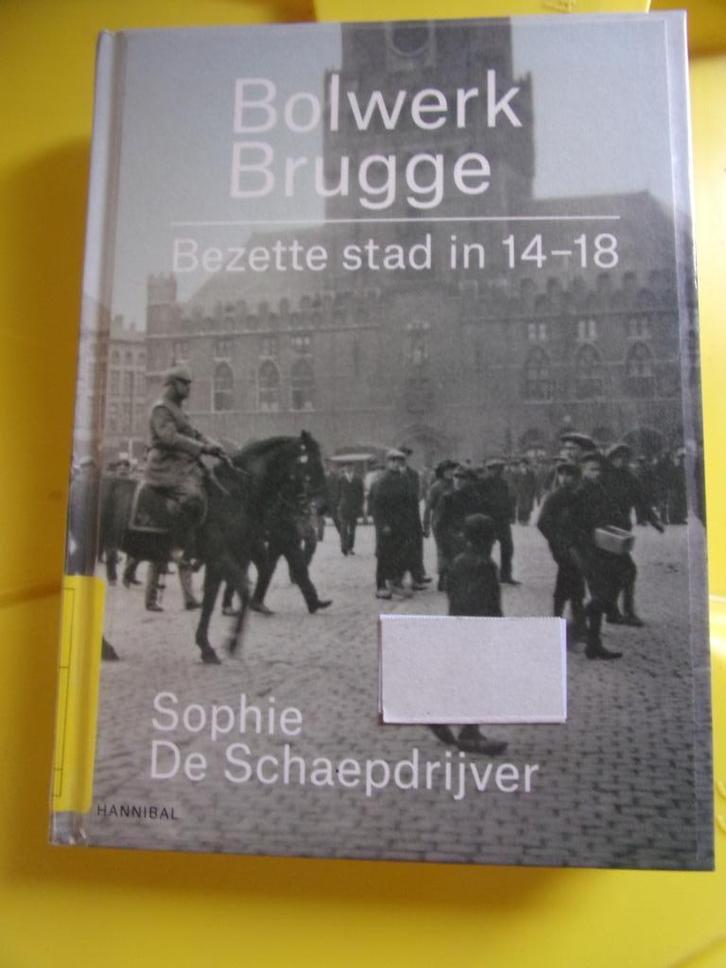 WO 1 : BOLWERK BRUGGE (bezette stad 14-18), Boeken, Oorlog en Militair, Zo goed als nieuw, Ophalen of Verzenden
