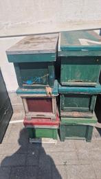 6 stuks 6 ramers simplex, Dieren en Toebehoren, Bijen