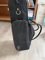 Alt-saxofoon rugzak koffer, Muziek en Instrumenten, Blaasinstrumenten | Saxofoons, Ophalen, Gebruikt, Alt