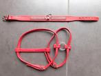 TUIGJE met strass steentjes, hondentuigje rood, Dieren en Toebehoren, Ophalen of Verzenden, Zo goed als nieuw