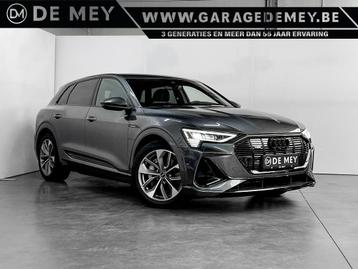 Audi e-tron E-Tron 95 kWh 55 Quattro S line beschikbaar voor biedingen