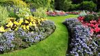 Tuin onderhoud,  tuinman