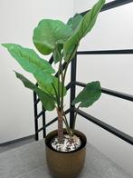 Kunstplant + goudkleurige pot, Ophalen, Zo goed als nieuw, Binnen