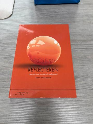 Marie-José Geenen - Reflecteren beschikbaar voor biedingen