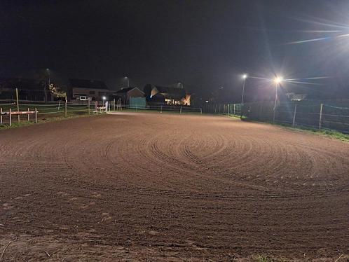Rijpiste paardenpiste, Dieren en Toebehoren, Stalling en Weidegang