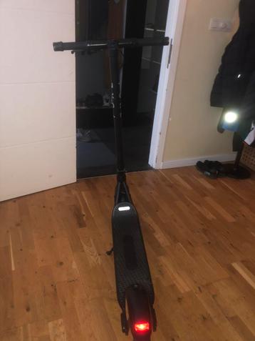 Pure step 2025 beschikbaar voor biedingen