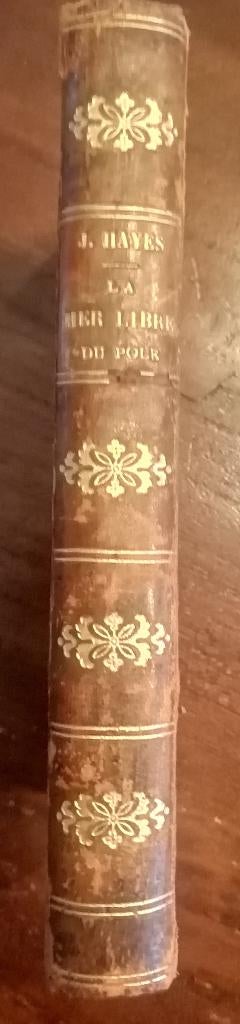 J.Hayes - La Mer Libre du Pôle Abrégé par J. Belin-de Launay, Livres, Récits de voyage, Comme neuf, Europe, Enlèvement ou Envoi