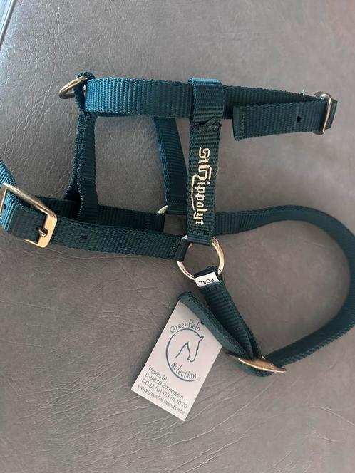 Uitzonderlijk Koopje “nieuwe veulenhalsters van Greenfield!!, Dieren en Toebehoren, Paarden en Pony's | Hoofdstellen en Tuigage